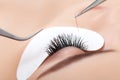 Woman Eye with Long Eyelashes. Eyelash Extension Royalty Free Stock Photo