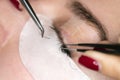 Woman Eye with Long Eyelashes. Eyelash Extension. the process of gluing eyelashes on the eye. Lashes, close up, selected focus Royalty Free Stock Photo