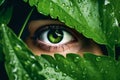 Woman eye peeping through lush green foliage with rain drops. Environment adventure psychology concept