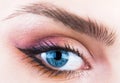 Woman eyes with beautiful makeup. Closeup eyebrow and blue eye. Woman with soft smooth healthy skin and glamorous Royalty Free Stock Photo