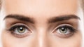 Woman Eyes Close up. Natural Beauty Eye Eyebrow long Eyelashes Make up. Open Eyes looking at Camera