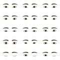 woman eyes and eyebrows, different shapes, both eyes illustration vector file