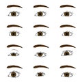 woman eyes and eyebrows, different shapes, vector file