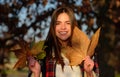 Woman face in autumn outdoor. Girl portrait with yellow leaves. Young girl hold oak and maple leaf outdoor. Fall autumn