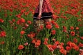 Woman face beauty. Opium poppy, agile business, ecology. Royalty Free Stock Photo