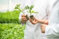 green world earth day concept. a woman without a face holds two small sprouts for planting Royalty Free Stock Photo