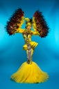 Woman in fantasy costume with feather sleeves Royalty Free Stock Photo