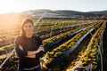 Woman farmer agronomist inspecting strawberry crops growing in the fruit farm field.Nature lover.Sustainable ecological grow.