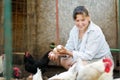 Woman farmer collecting fresh organic eggs on chicken farm. Floor cage free chickens is trend of modern poultry farming. Local Royalty Free Stock Photo