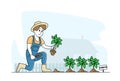 Woman Farmer or Cottager Character Working in Garden Digging Soil and Planting Tomato Sprouts to Ground, Care of Plants