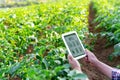 A woman farmer with digital tablet on a potato field. Smart farming and precision agriculture 4.0. modern agricultural technology