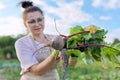 Woman farmer with fresh beets at farm, beetroots with leaf Royalty Free Stock Photo