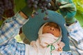 Woman farmer harvests grapes at the plantation in Nakhon Ratchasima, Thailand.