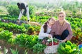 Woman farmer and her teenage daughter holding wicker basket Royalty Free Stock Photo