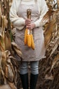 Woman farmer holding harvested corn cob in field Royalty Free Stock Photo