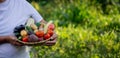 a woman farmer holds a basket with vegetables in her hands. Selective focus Royalty Free Stock Photo