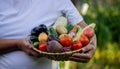 a woman farmer holds a basket with vegetables in her hands. Selective focus Royalty Free Stock Photo