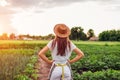 Woman farmer looking at vegetables on kitchen-garden in countryside. Agriculture and farming concept