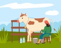 Woman farmer near cow on nature landscape. Milkmaid is working at countryside milking cow in field