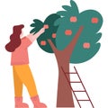 Woman farmer picking fruit from tree vector icon