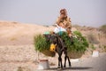 Woman farmer sitting and traveling on her donkey, Morocco Royalty Free Stock Photo