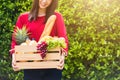 Woman farmer standing hold full fresh food raw vegetables fruit in a wood box Royalty Free Stock Photo