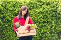 Woman farmer standing hold full fresh food raw vegetables fruit in a wood box Royalty Free Stock Photo