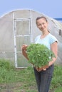 Woman farmer stays next to greenhouse and holding plastic box with tomatoes seedling ready to plant it to soil