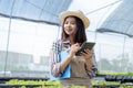 Woman farmer use Calculator checking stock and price hydroponics vegetables