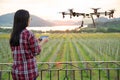 Woman farmer use smart phone control agriculture drone fly to sprayed fertilizer on the grape fields, Smart farm 4.0 concept