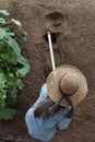 Woman farmer working with hoe in vegetable garden, hoeing the soil near a cucumber plant Royalty Free Stock Photo