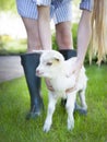 Woman farmer and young goat Royalty Free Stock Photo