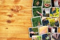 Woman in farming and agriculture, photo collage with copy space Royalty Free Stock Photo