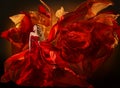 Woman Fashion Dress Flying Red Fabric, Girl Waving Silk Cloth Royalty Free Stock Photo
