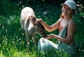 Woman feed bambi deer. Unity with nature. Wild animals concept. Girl feeding fawn. Animal at park. Royalty Free Stock Photo