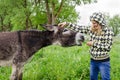 Woman feed cute wet donkey animal with grass