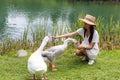 Woman feed goose in tourist farm