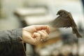 Woman feeding bird