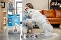 Woman feeding dog with a dry food at home Royalty Free Stock Photo