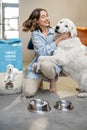 Woman feeding dog with a dry food at home Royalty Free Stock Photo