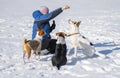 Woman feeding dogs while training some simple commands Royalty Free Stock Photo