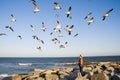 Woman feeding a gaggle of seagulls