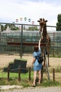 Woman feeding giraffe Royalty Free Stock Photo
