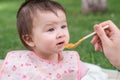 woman feeding her beautiful little daughter - mother hand and close up portrait of adorable and happy baby girl eating baby Royalty Free Stock Photo