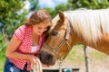 Woman feeding horse on pony farm