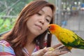 Woman feeding parrots on her hand Royalty Free Stock Photo