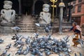 Woman feeding pigeons