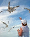 Woman feeding seagulls Royalty Free Stock Photo