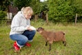 Woman feeding young sheep Royalty Free Stock Photo