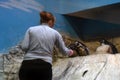 A woman feeds penguins in Moscow zoo